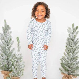 NWT Organic Cotton Two Piece Christmas Pajama 2T
